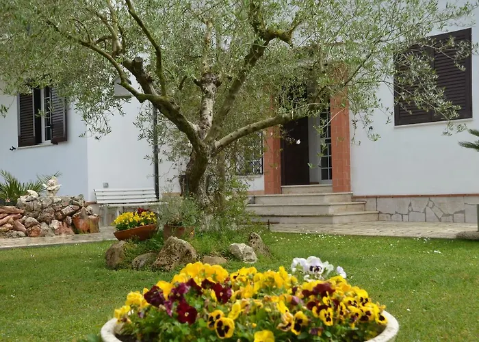 Hotel Il Grifo Sabaudia